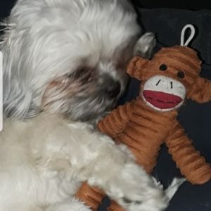 Meet your Posher, Brenda